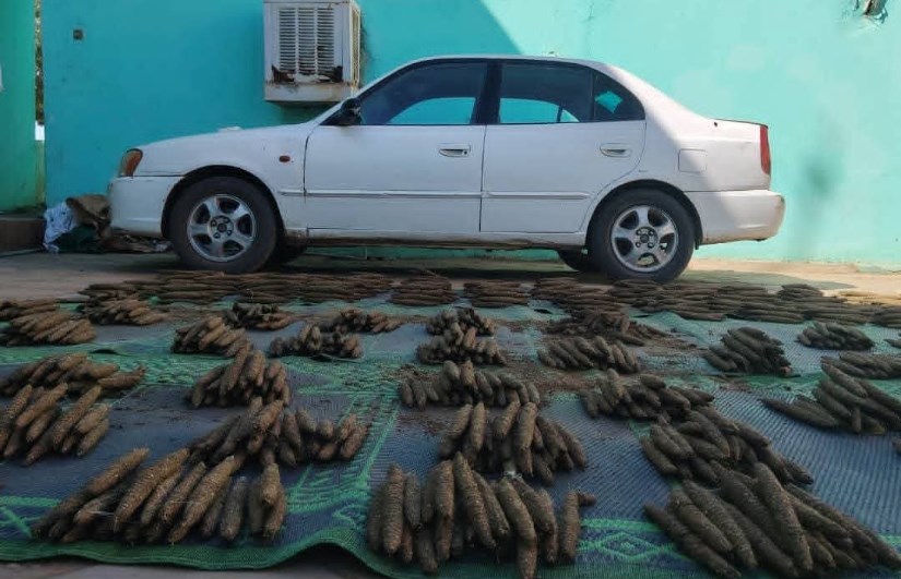 حافظ على أبنائك من المخدرات.. ضبط (2460) قندول حشيش بعربة فيرنا بولاية الجزيرة – اون سودان