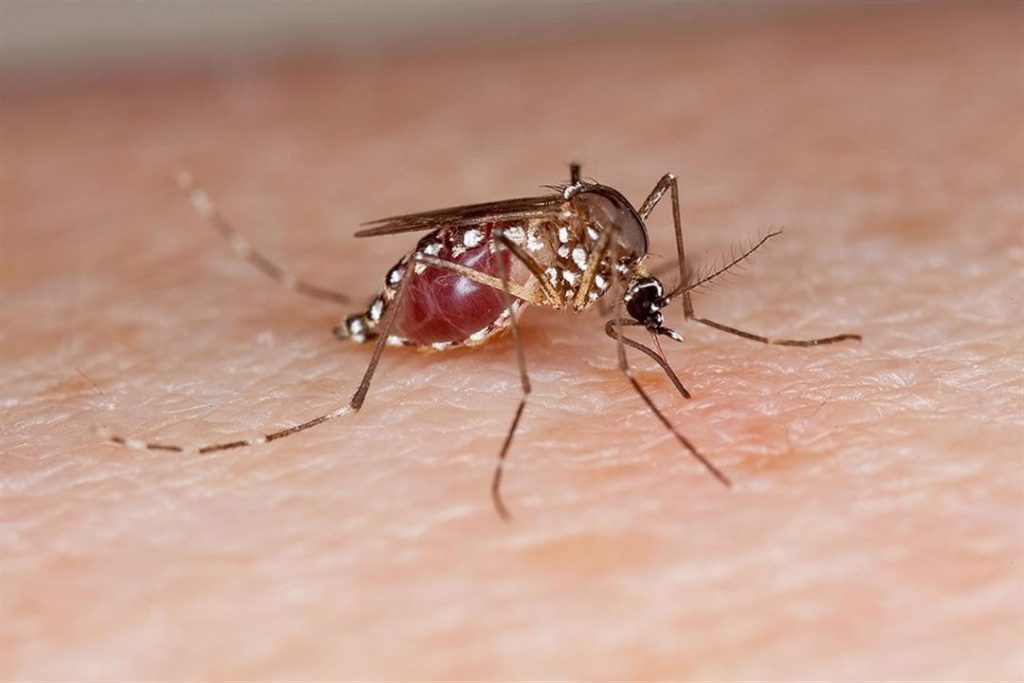 الصحة: تفشي الملاريا وحمى الضنك والكبد الوبائي وسط نقص حاد في الأدوية بعدة ولايات