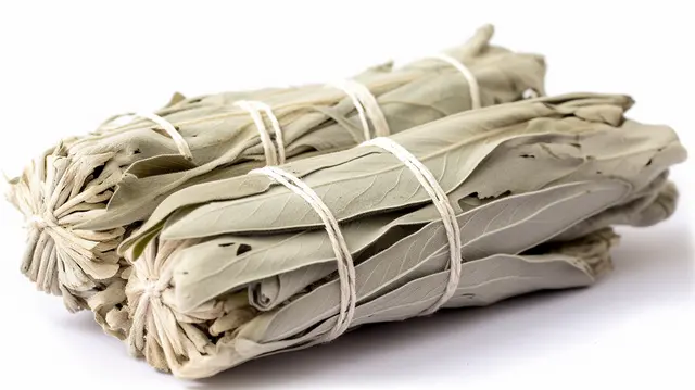 أخبار الخرطوم 11 قرار بريطاني بحظر القات يثير الجدل بين الخبراء والجاليات اليمنية