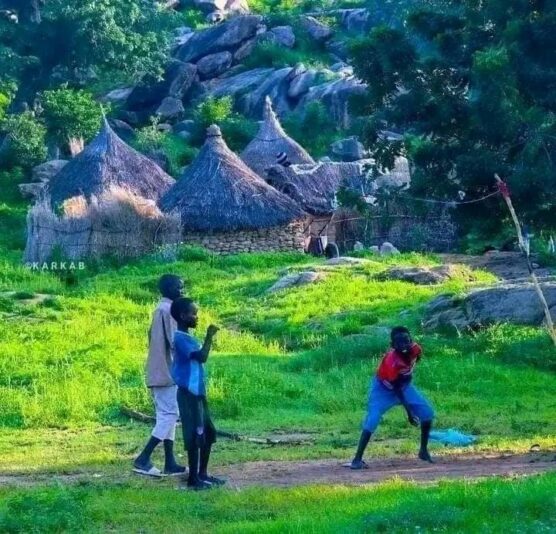 355073166_648734207129353_895468033525203261_n