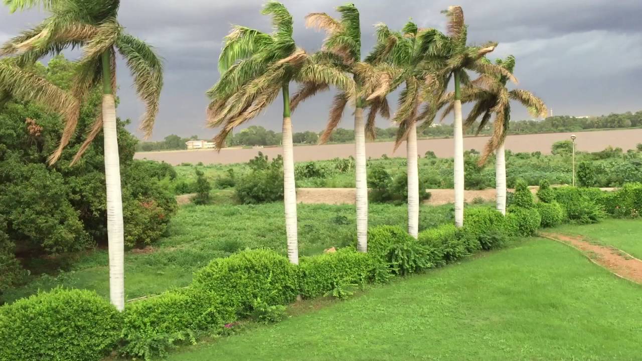 ولاية الجزيرة