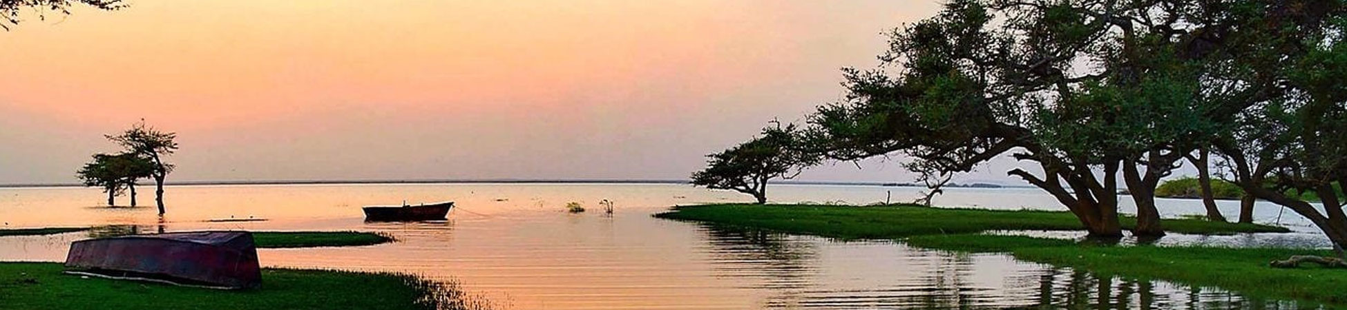 ولاية النيل الأبيض